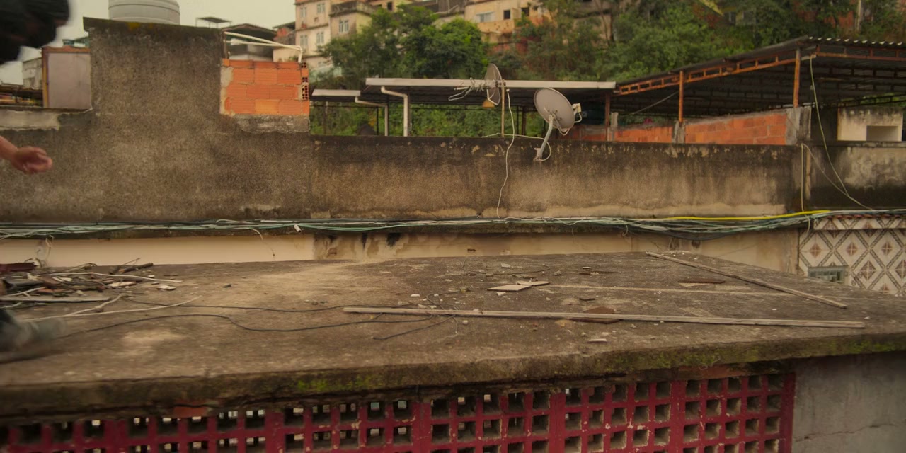 Corrida dos Bichos screenshot 1
