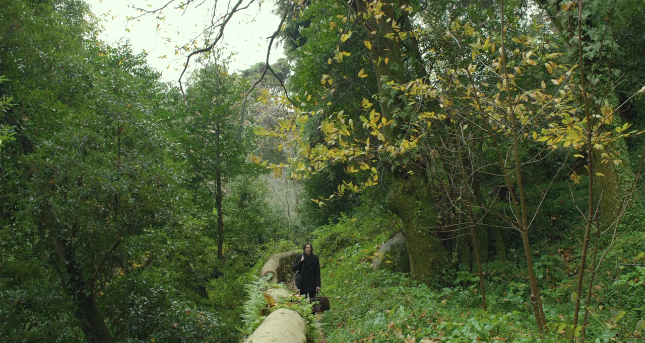 Cosmos screenshot 1