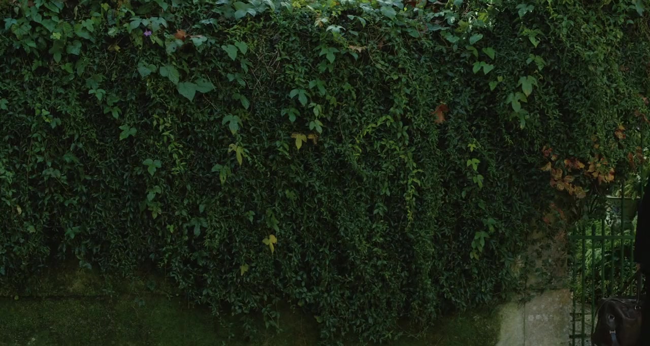 Cosmos screenshot 2