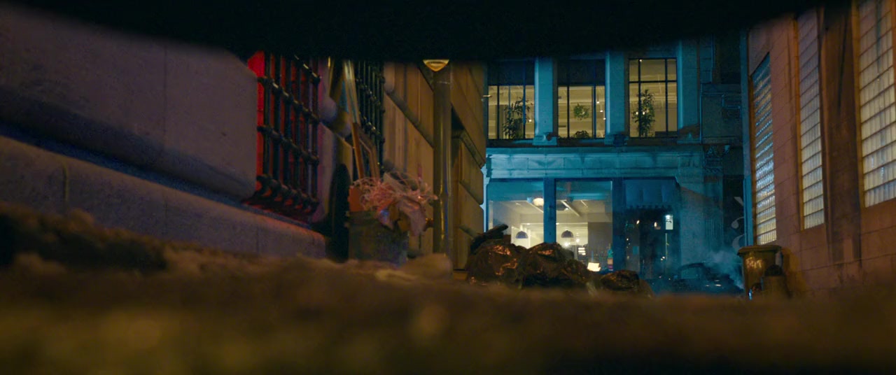 Chien & chat screenshot 3
