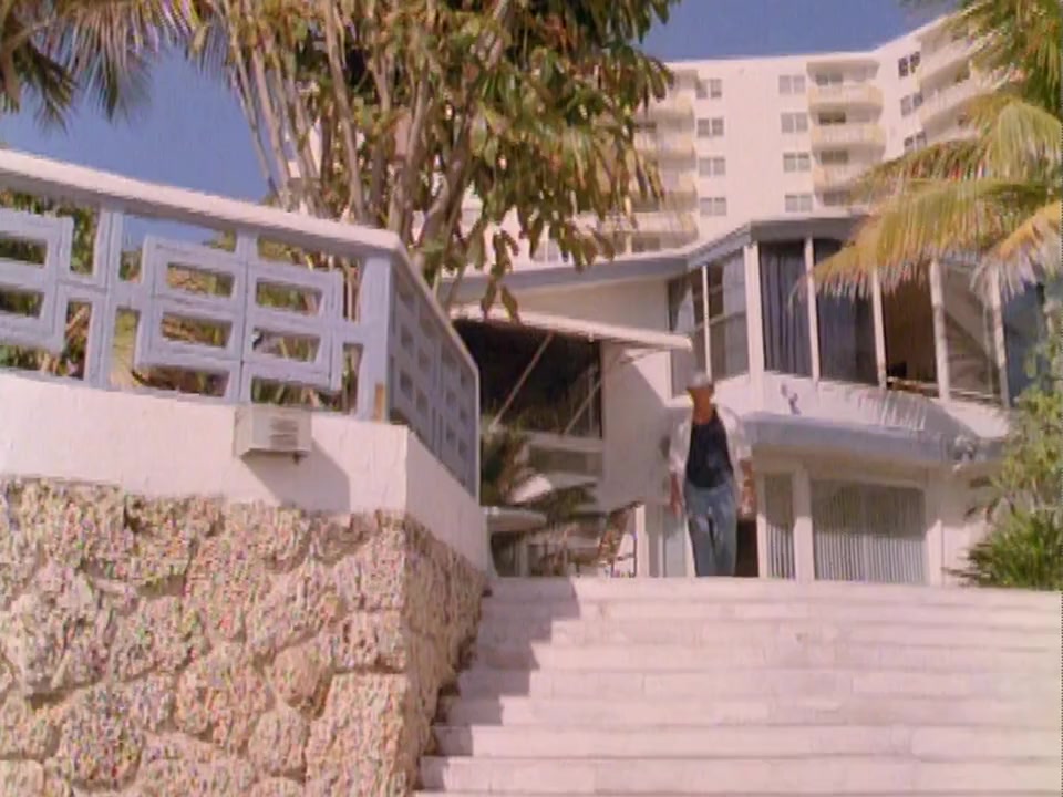 Cat Chaser screenshot 2