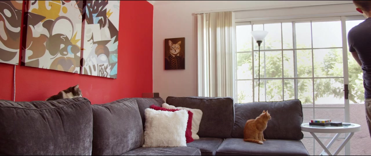 Cat Daddies screenshot 3