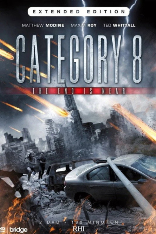 CAT. 8 (2013) poster
