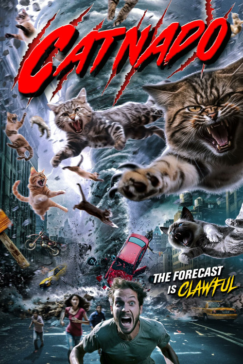 Catnado (2022) poster
