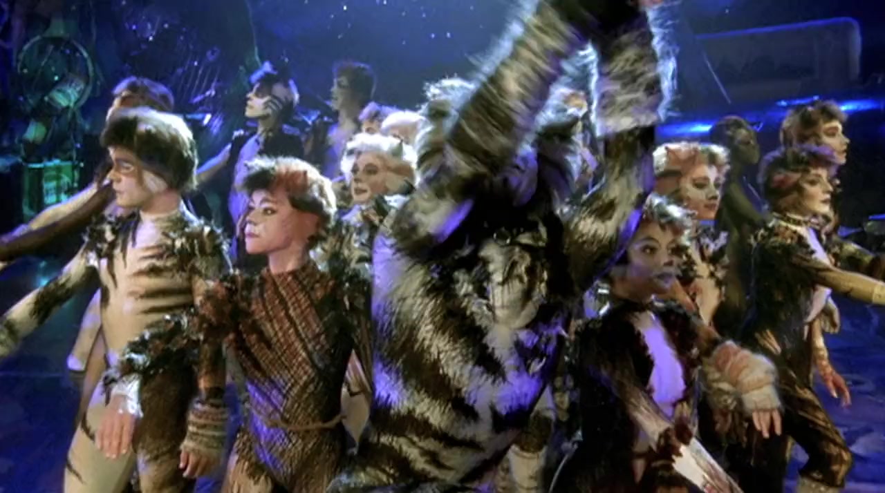 Cats screenshot 1