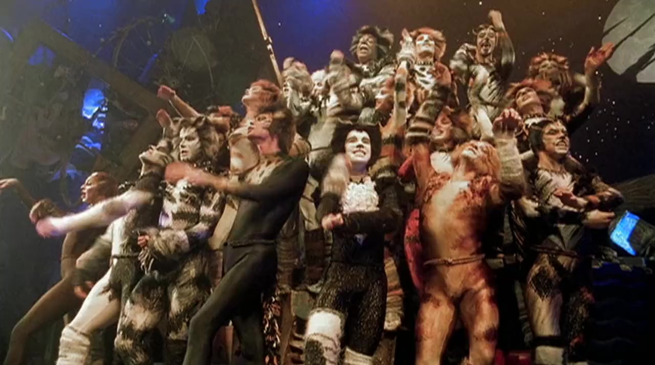 Cats screenshot 2