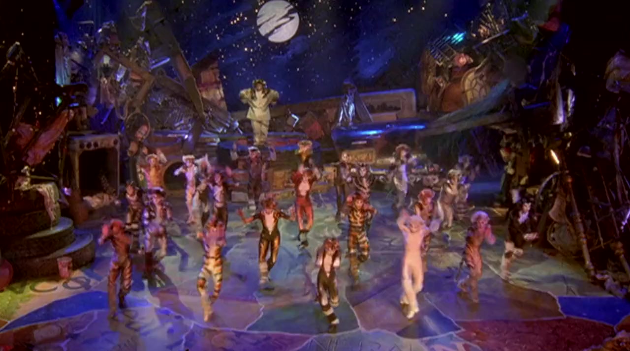 Cats screenshot 3