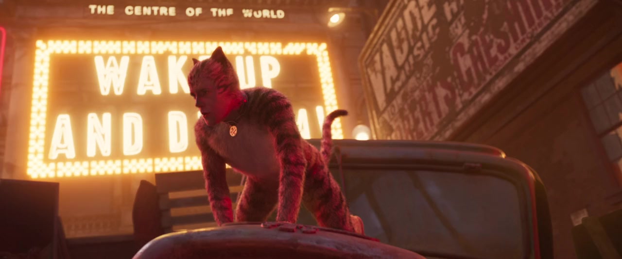 Cats screenshot 2