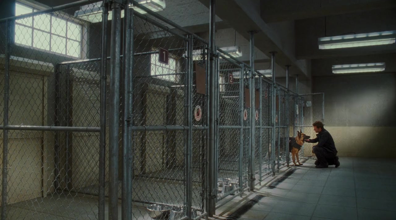 Cats & Dogs: The Revenge of Kitty Galore screenshot 2