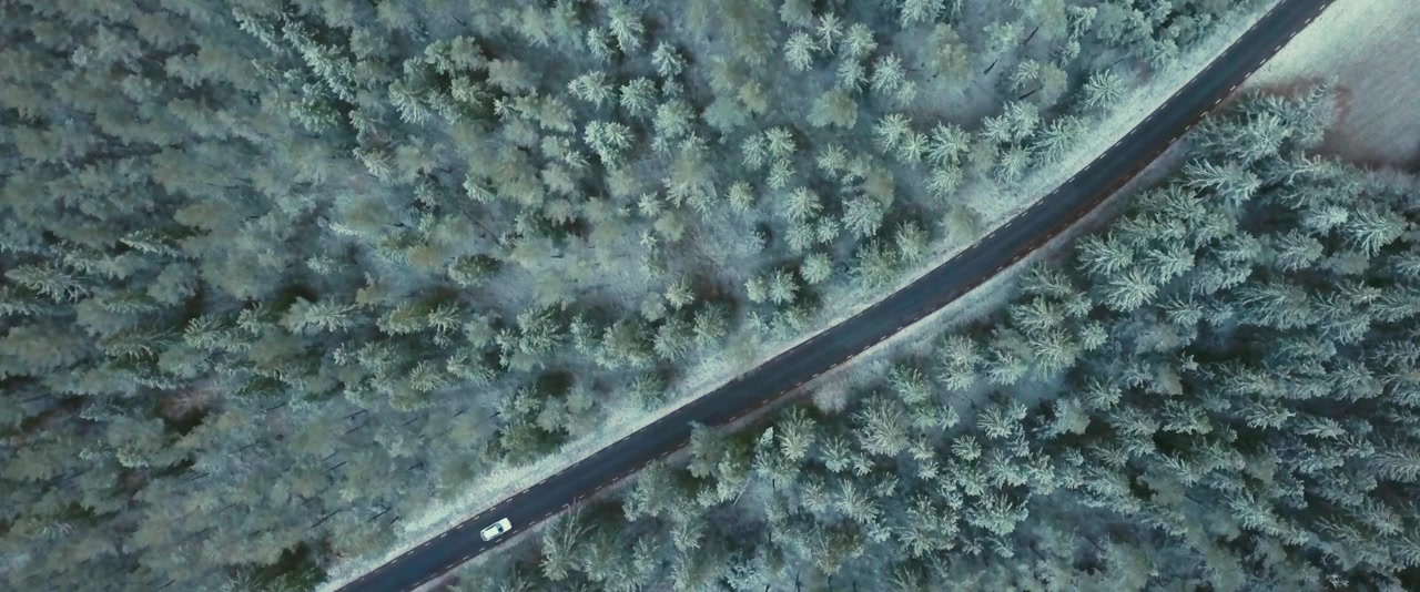 Catwalk - Från Glada Hudik till New York screenshot 1