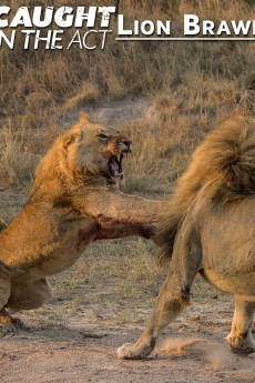 Lion Brawl (2012) poster