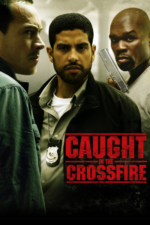 Caught in the Crossfire (2010) poster