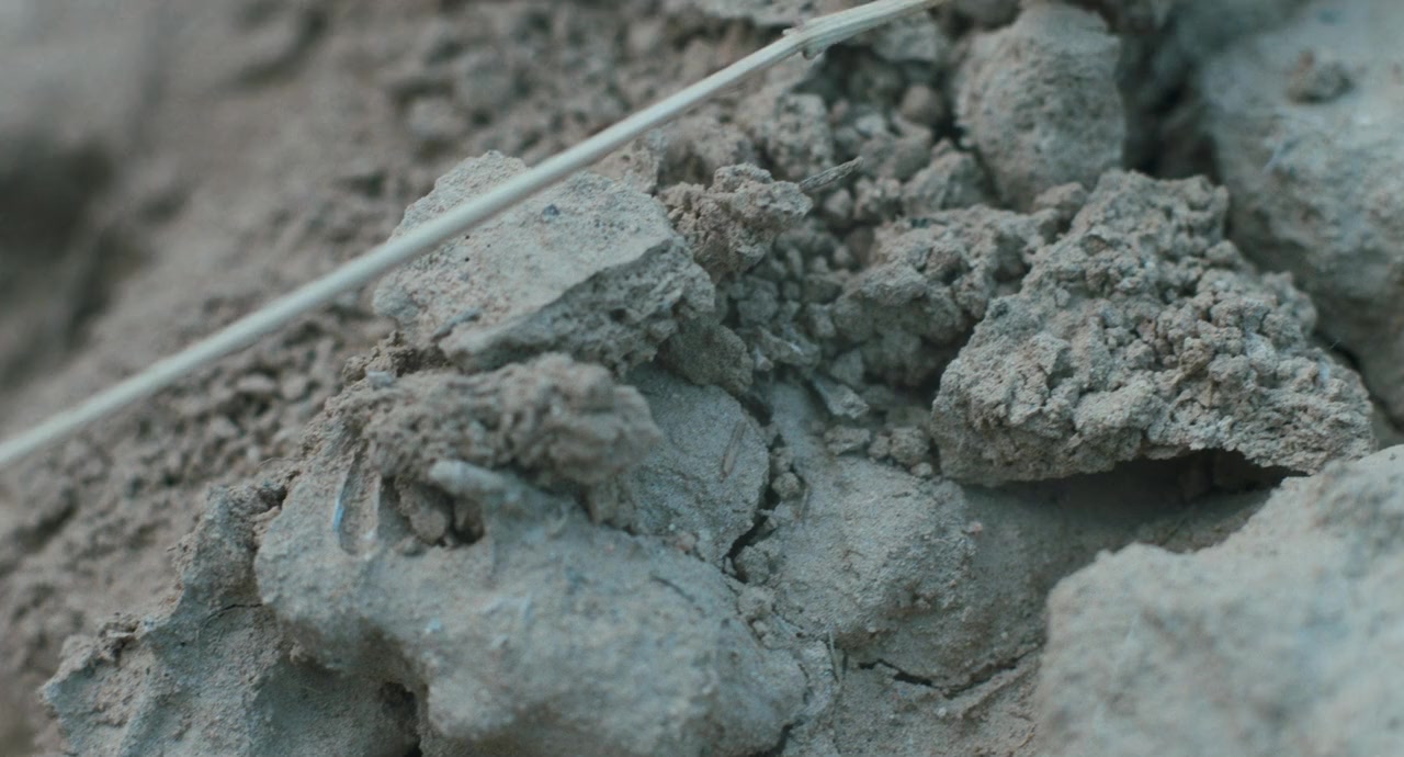Cautatorul de Vant screenshot 2