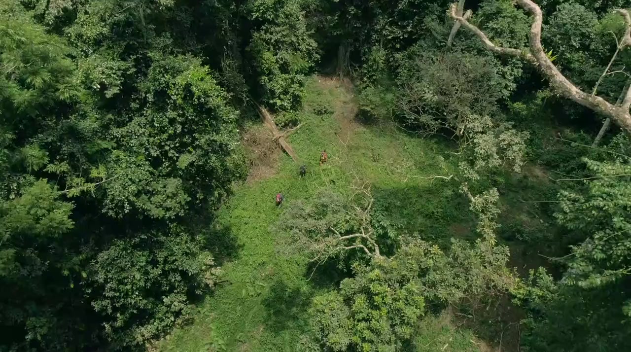 Cave Crocs of Gabon screenshot 1