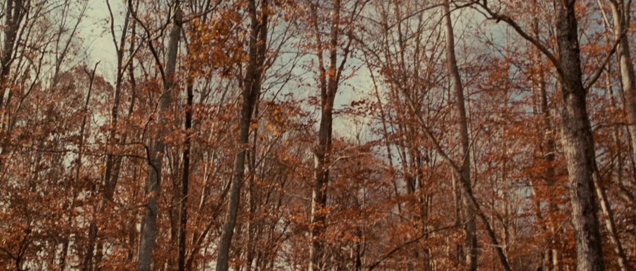Cabin Fever 2 screenshot 1