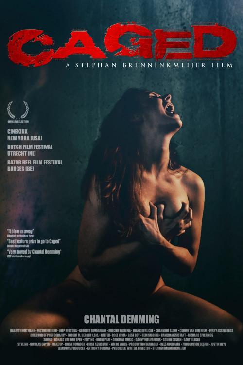 Caged (2011) poster