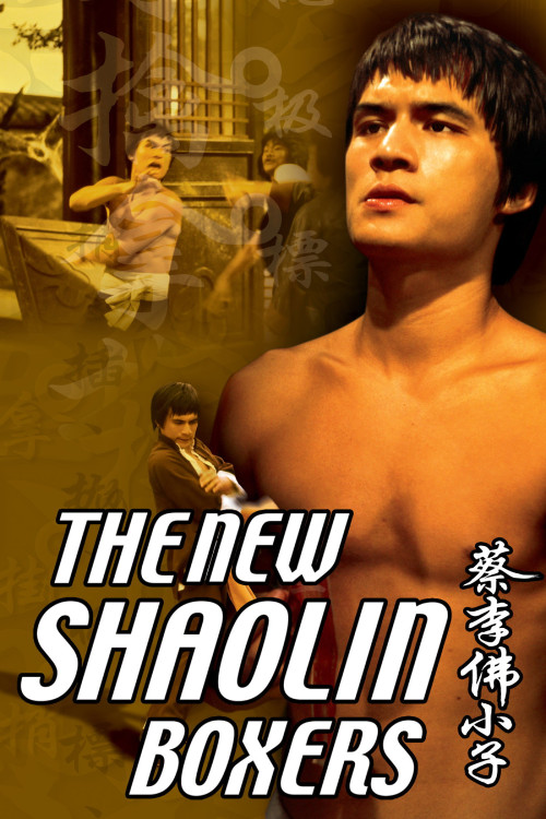 Cai li fa xiao zi (1976) poster