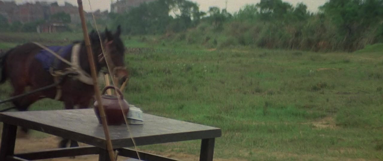 Cai li fa xiao zi screenshot 3