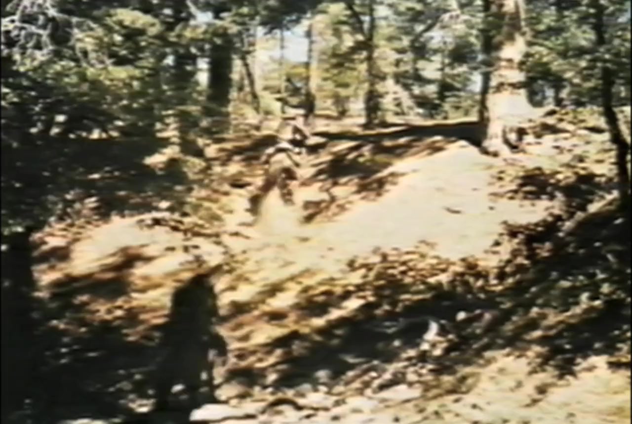 Cain's Cutthroats screenshot 2