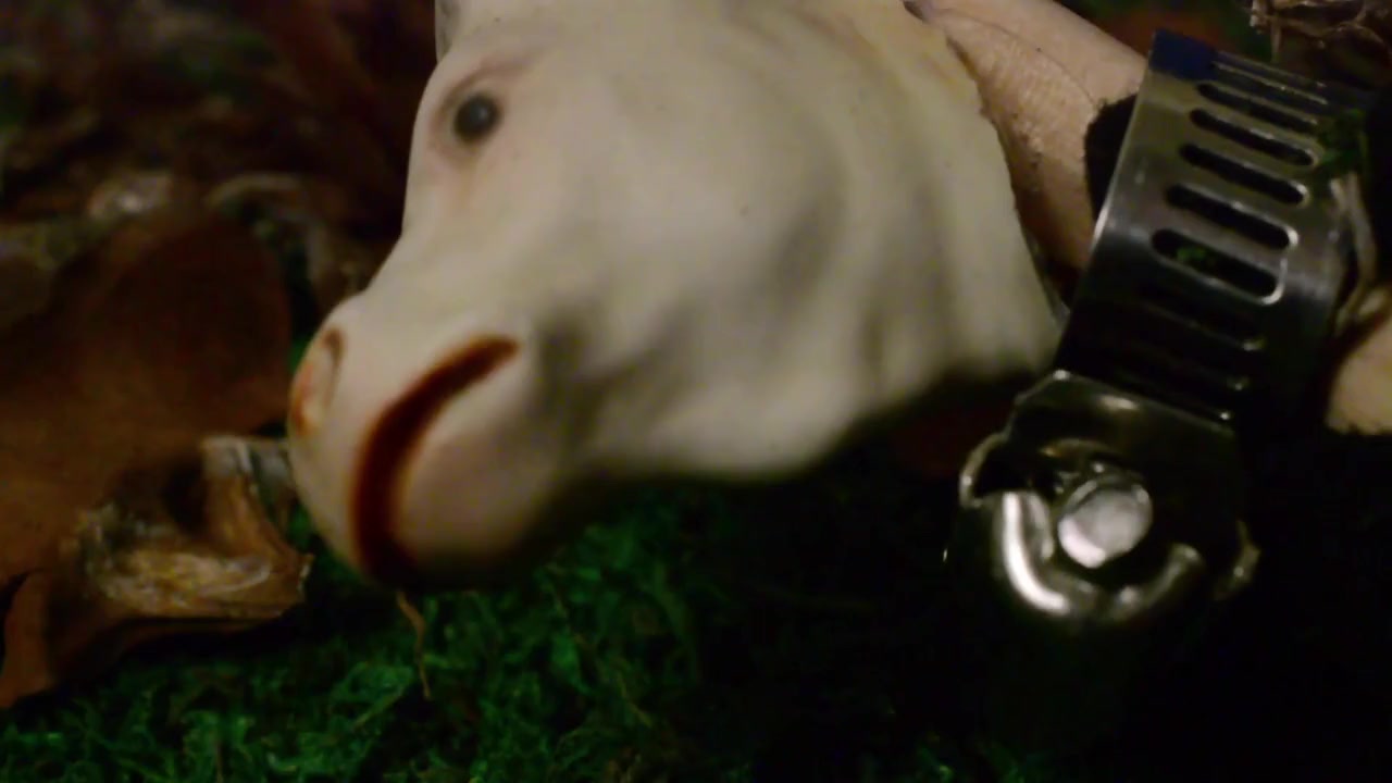 Caliovas screenshot 2