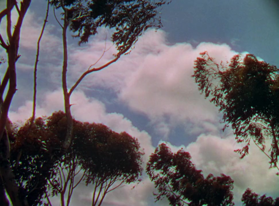 California screenshot 3