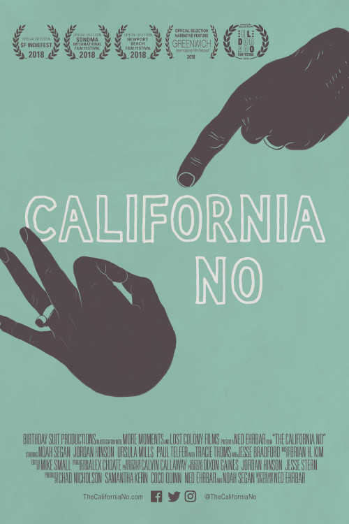 The California No (2020) poster