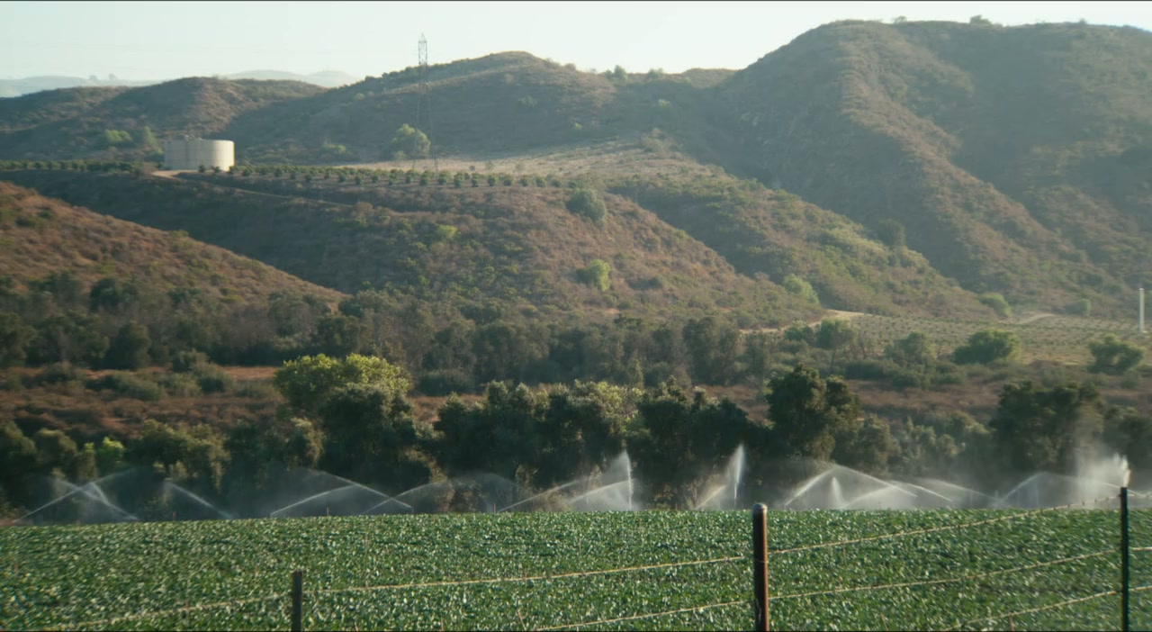 California Solo screenshot 1
