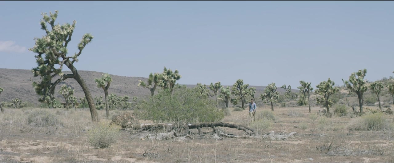 Calypso screenshot 1