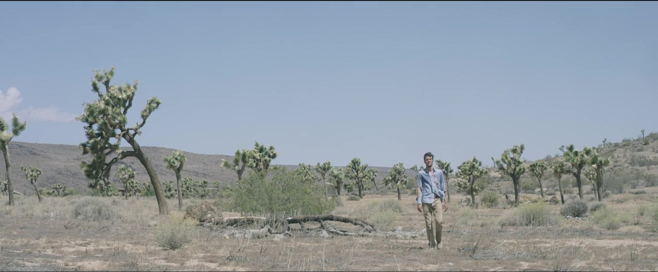 Calypso screenshot 2