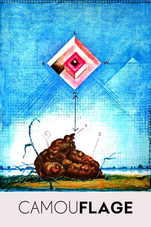 Barwy ochronne (1977) poster