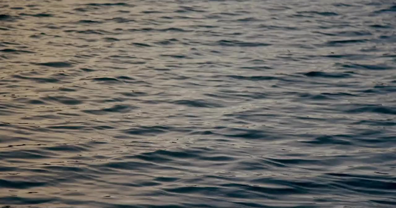 Candlewood screenshot 3