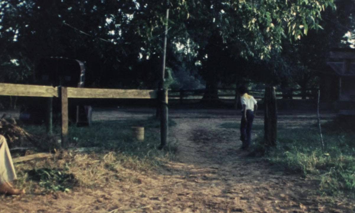 Cane River screenshot 2