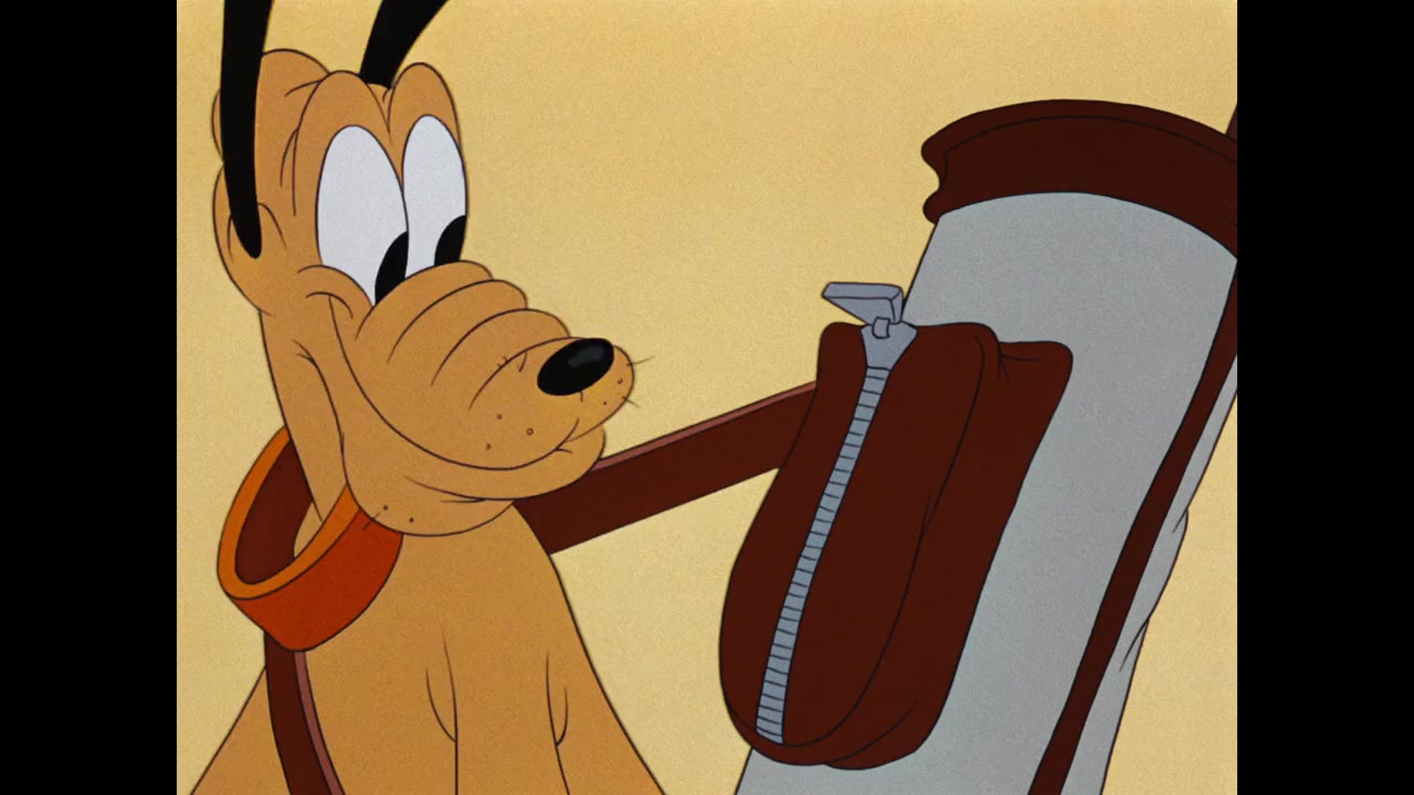 Canine Caddy screenshot 3