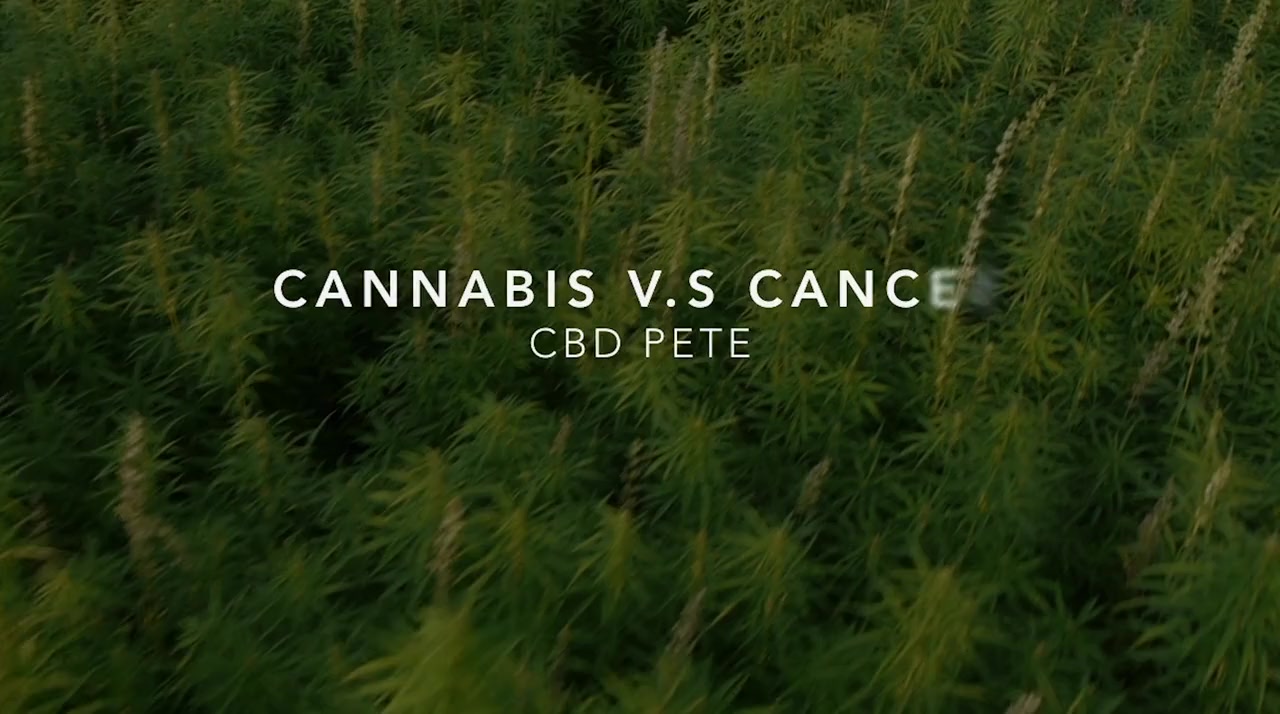 Cannabis vs. Cancer screenshot 2