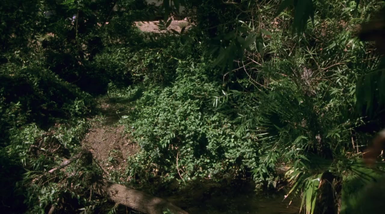 Cannibal Women in the Avocado Jungle of Death screenshot 1