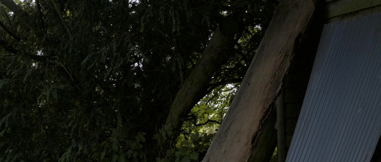 Cannibal Troll screenshot 1