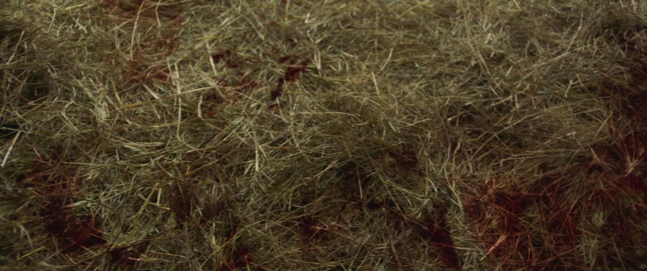 Kapitan Volkonogov bezhal screenshot 1