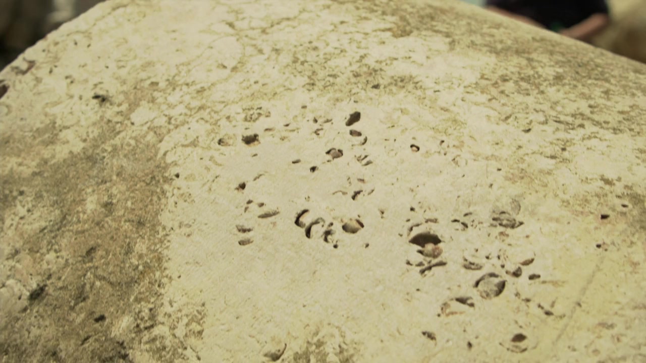 Captain Abu Raed screenshot 3