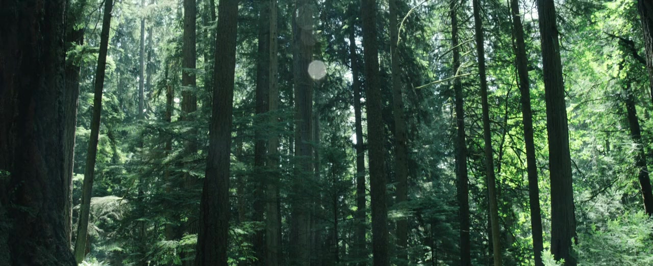 Captain Fantastic screenshot 2