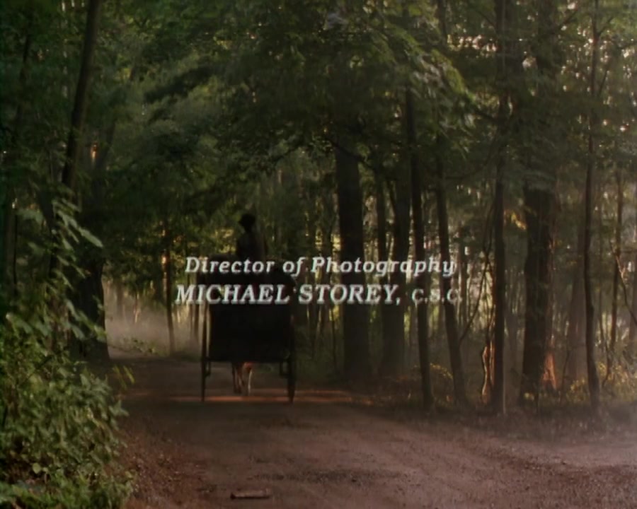 Captive Heart: The James Mink Story screenshot 2