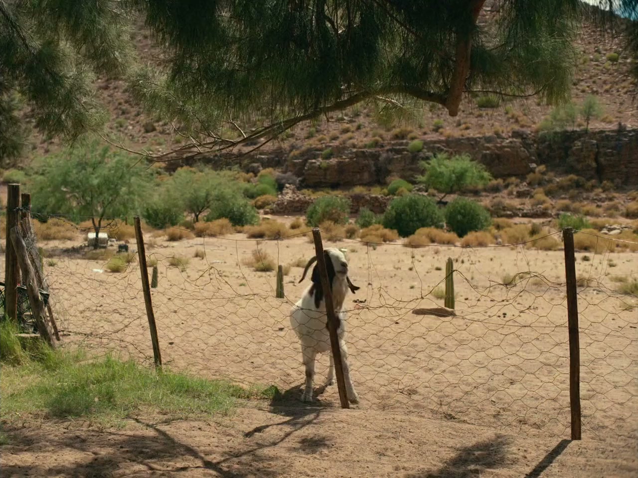 Carissa screenshot 1