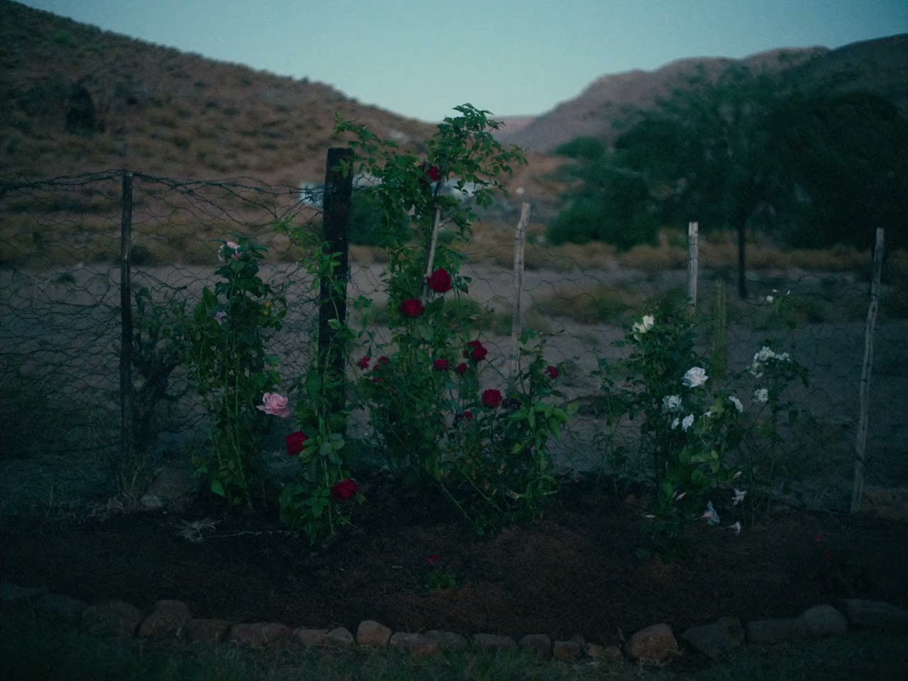 Carissa screenshot 3