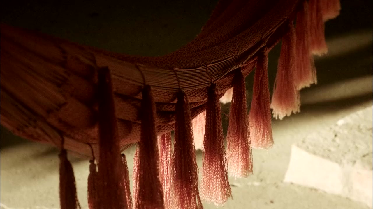 Carmín Tropical screenshot 3