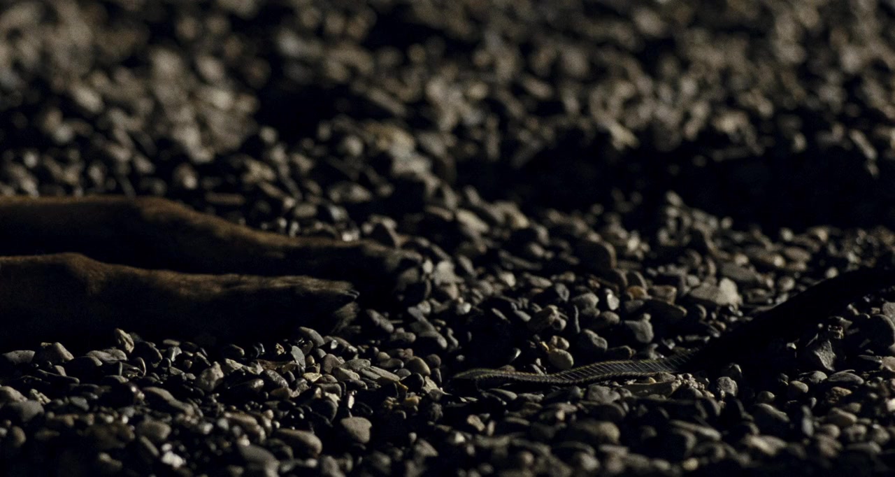Carré blanc screenshot 1