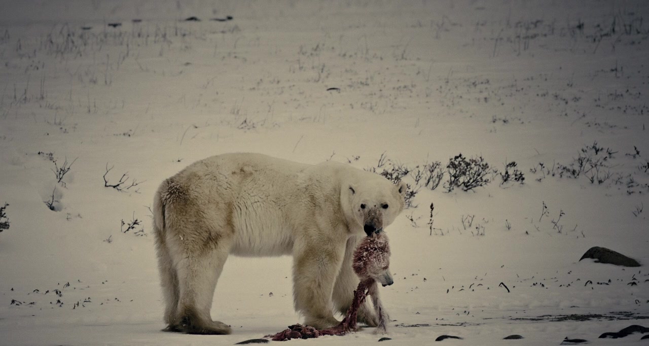 Carré blanc screenshot 2