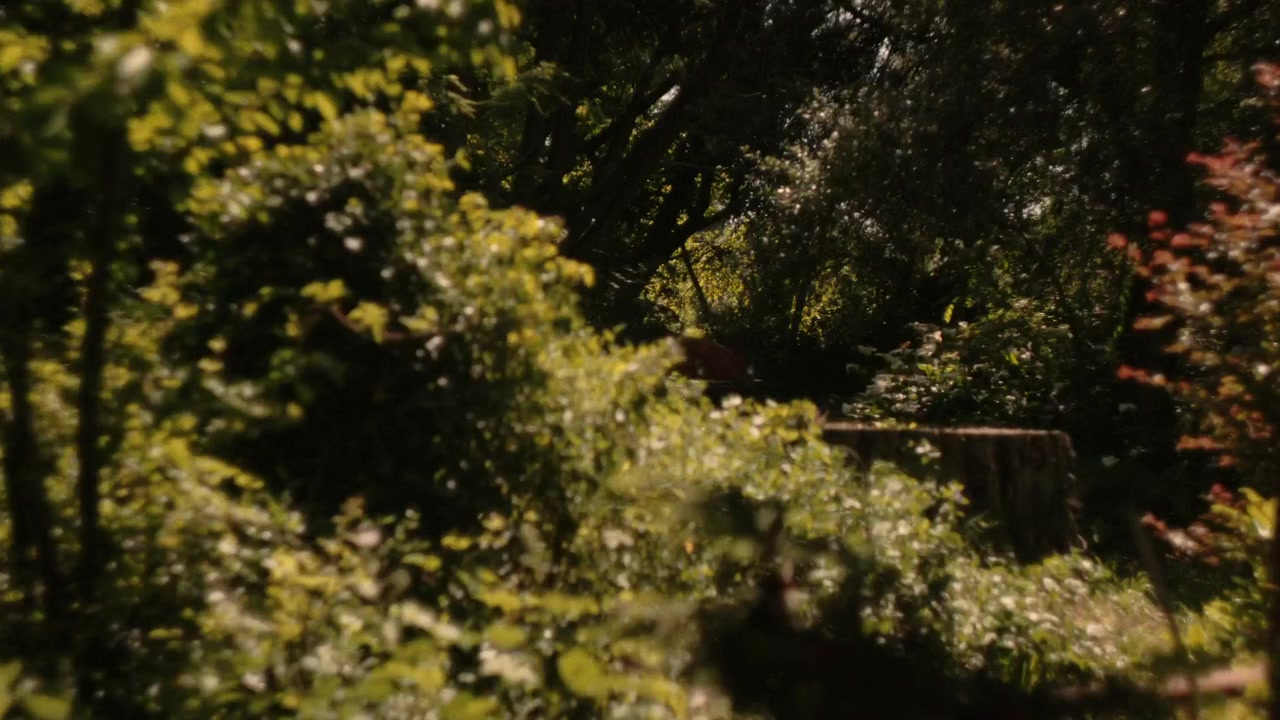Carrion screenshot 3