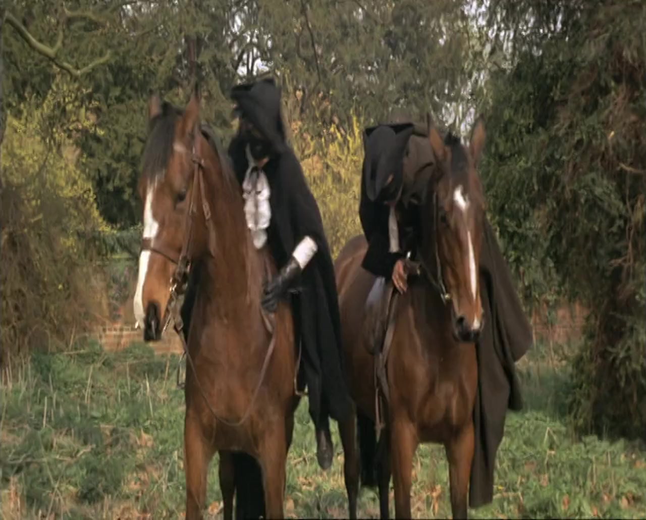 Carry on Dick screenshot 1
