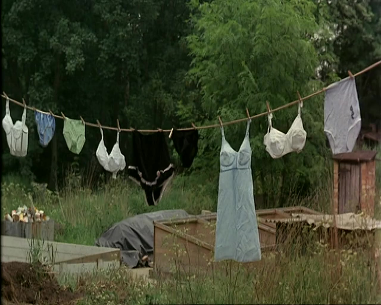 Carry on England screenshot 1
