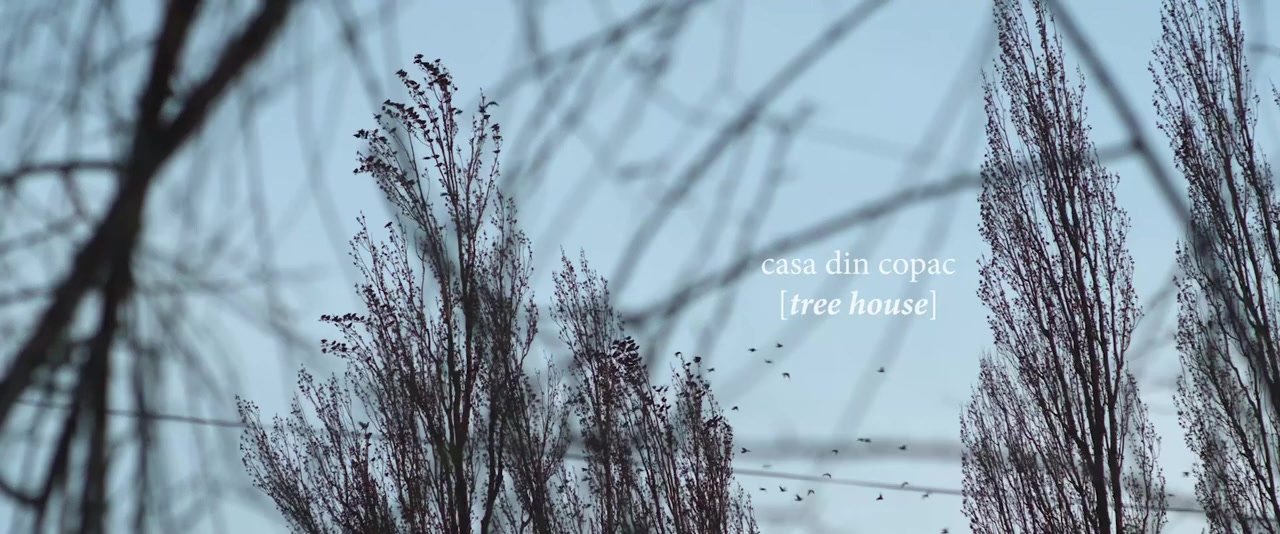 Casa din copac screenshot 1