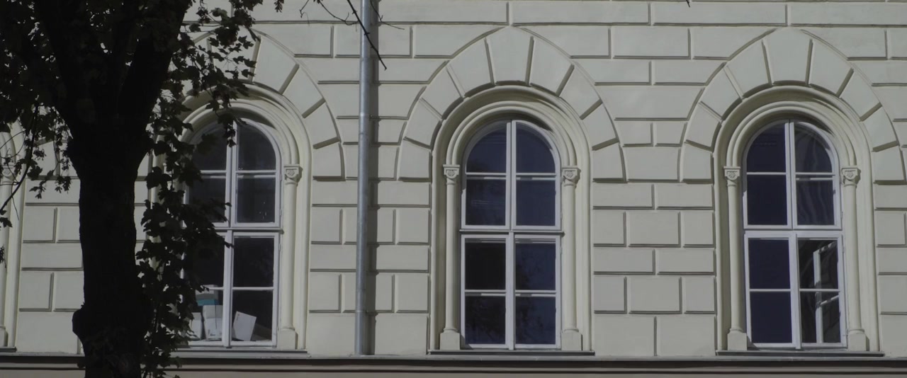 Casa din copac screenshot 2